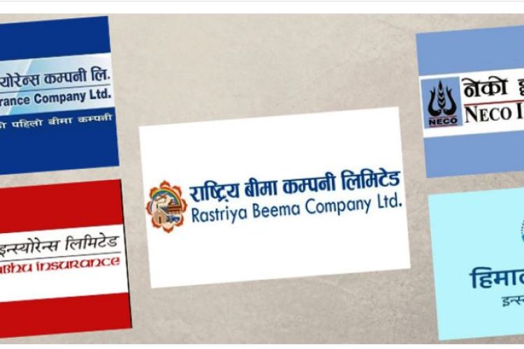 प्रतिसेयर आम्दानी उच्च रहेका यि पाँच ननलाइफ इन्स्योरेन्स कम्पनी, कुनको कति ?