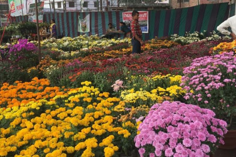 जावलाखेल मैदानमा गोदावरी पुष्पमेलाः तीन दिनमा ९० लाखको कारोबार