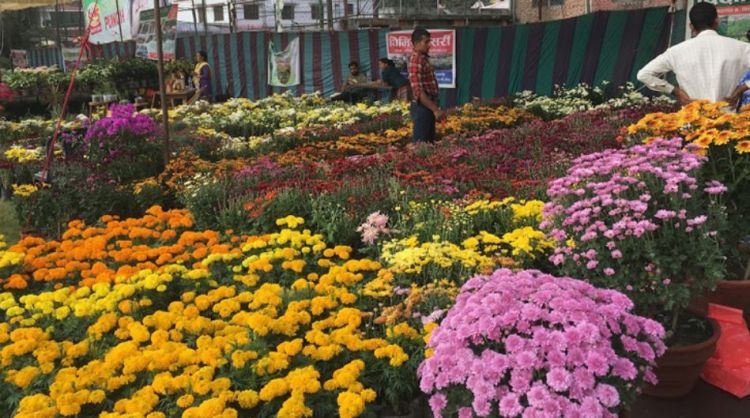  जावलाखेलमा गोदावरी पुष्प मेलाः अवलोकनकर्ताको घुइँचो, दुई दिनमा कति भयो कारोबार ? 