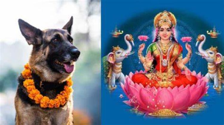 तिहारको तिथिः आज बिहान कुकुर तिहार, साँझ लक्ष्मी पूजा