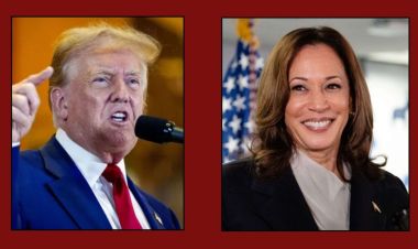  ट्रम्प अमेरिकाको ४७औं राष्ट्रपतिमा निर्वाचित, कति छ सम्पत्ति ?