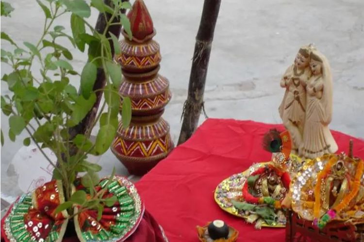  आज हरिबोधिनी एकादशी पर्वः तुलसी र दामोदरको विवाह गरी मनाइँदै