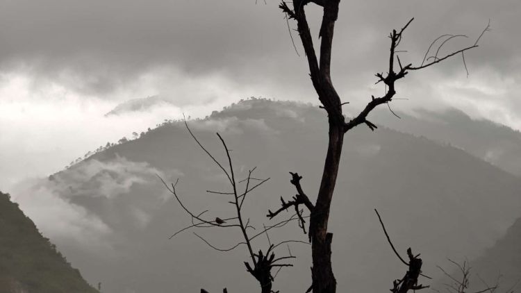 आजको मौसम पूर्वानुमानः यी तीन प्रदेशमा वर्षाको सम्भावना