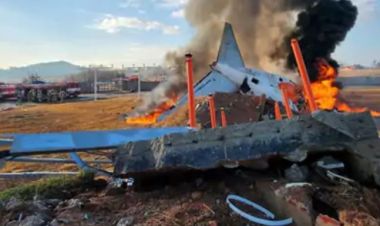  दक्षिण कोरियाः विमान दुर्घटना अघि कोरियन यात्रुको म्यासेज, ‘हाम्रो विमानमा चरो अडकिएको छ’