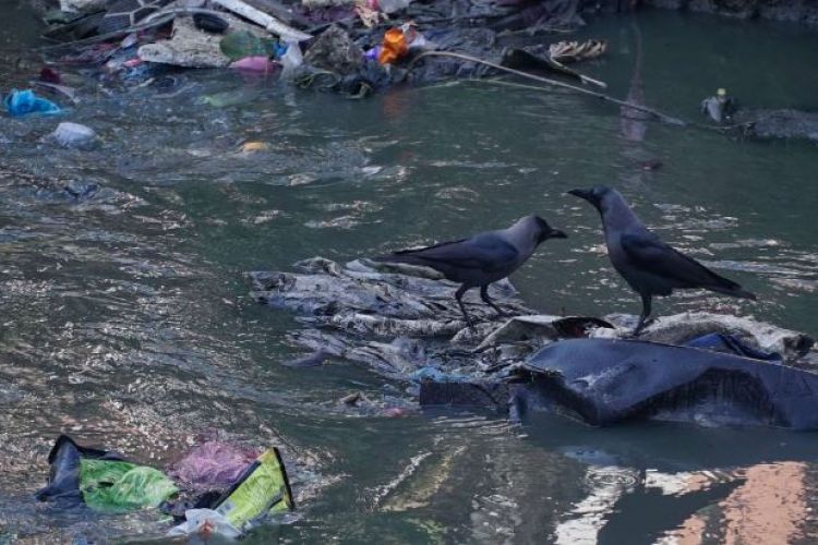 सिंहदरबारस्थित टुकुचा खोलामा थुप्रिएको फोहोर र ढल 