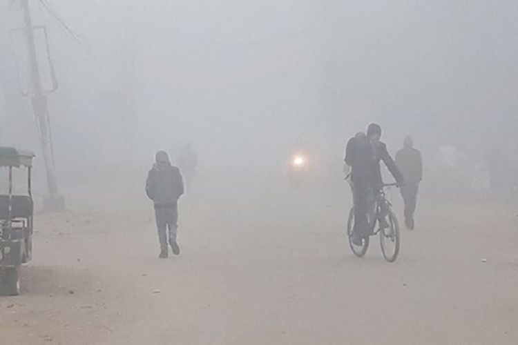 तराईमा बाक्लो हुस्सु र शीतलहर, ज्यालादारी मजदुर प्रभावित