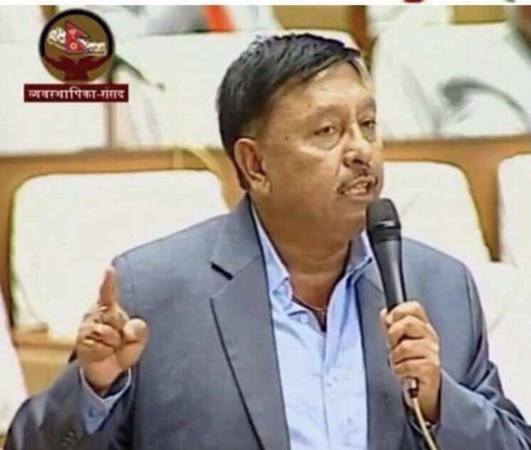  एनआरएनहरुलाई निःशुल्क भिसा दिने प्रावधान गलत हो : सांसद गिरी