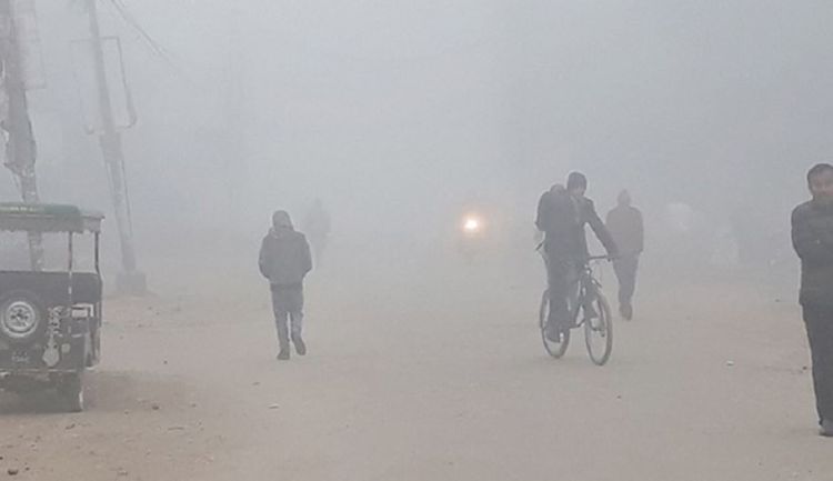 तराईमा बाक्लो हुस्सु र शीतलहर, ज्यालादारी मजदुर प्रभावित