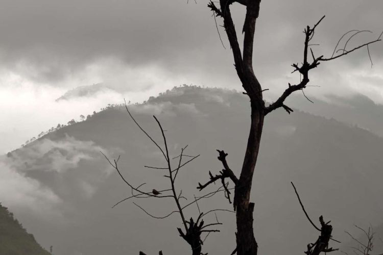 आजको मौसमः हिमाली भागका थोरै स्थानहरूमा हिमपातको सम्भावना 