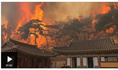 दक्षिण कोरियामा भीषण डढेलो, मृत्यु हुँनेको संख्या २८ पुग्यो