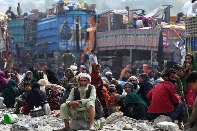 पाकिस्तान शरणार्थी जीवन त्यागेर स्वदेश फर्किए ८ लाख बढी अफगानी