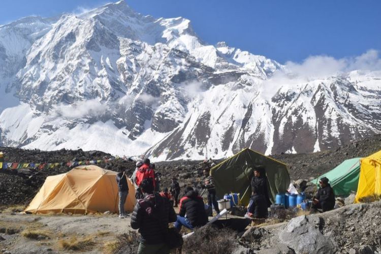 अन्नपूर्ण हिमाल आरोहणका लागि आधार शिविरमा पुग्न थाले आरोहीहरू 