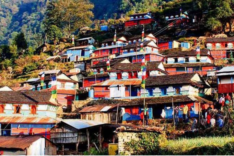 नयाँ वर्ष मनाउन होमस्टेमा आन्तरिक पर्यटक चहलपहल, घोंगीका परिकारले सत्कार