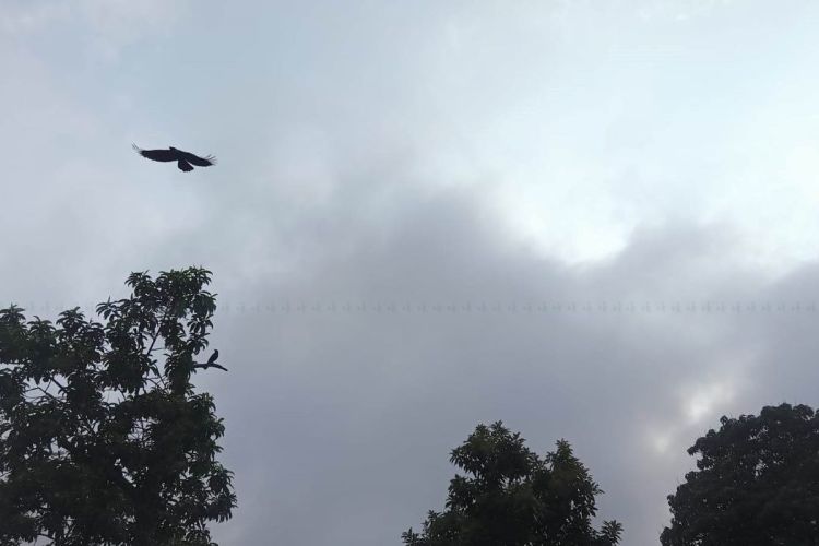यी प्रदेशमा आज चट्याङसहित वर्षाको सम्भावना