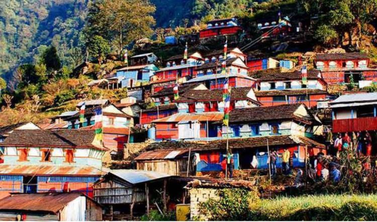 नयाँ वर्ष मनाउन होमस्टेमा आन्तरिक पर्यटक चहलपहल, घोंगीका परिकारले सत्कार