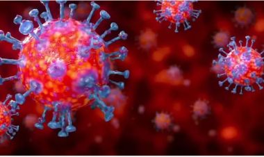 हङकङ र सिंगापुरमा देखियो कोरोना १९ को नयाँ भाइरस