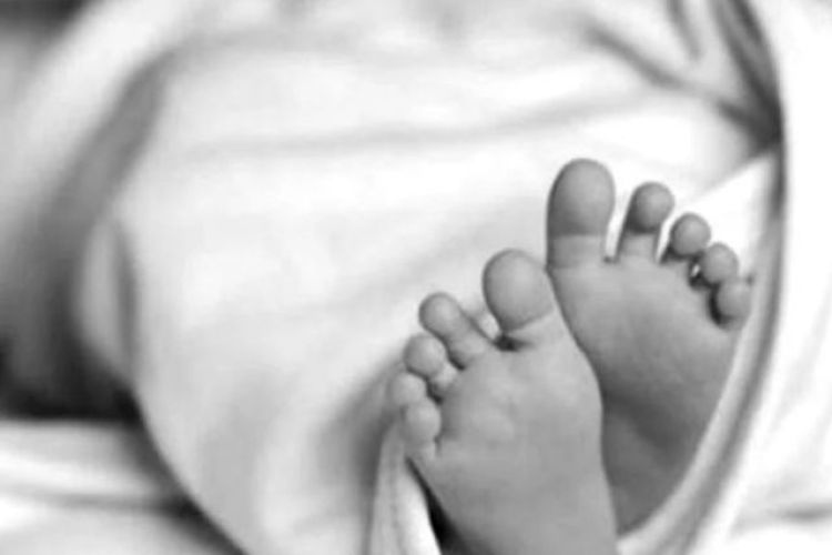 कोरोनालाई हेप्दा एक सातामै ३५० अमेरिकनको मृत्यु