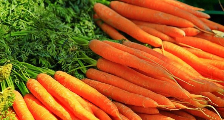 नियमित गाजँर खानुहोस्, १० फाइदा लिनुहोस्