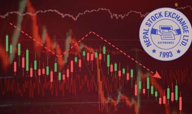 आज १३ अंकले घट्यो सेयर बजार 