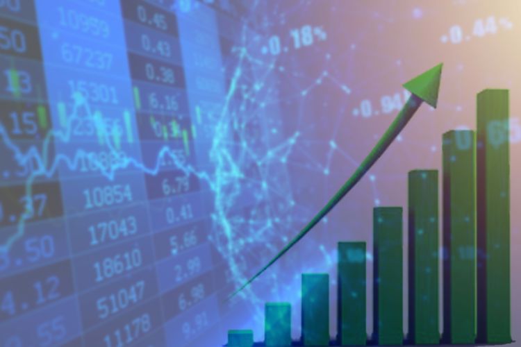 यो पहिलो वर्षको दिन सेयर बजार ३३ अंकले बढ्यो, कति भयो कारोबार ?