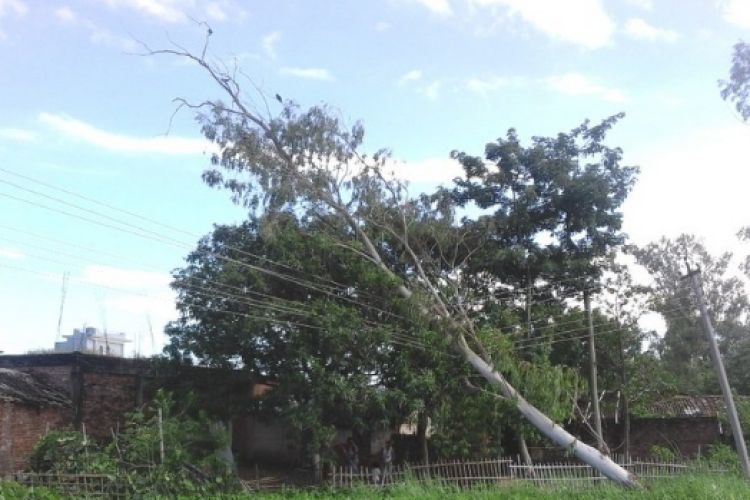 हावाहुरीबाट मधेस प्रदेश प्रभावितः सिरहामा पर्खाल भत्किँदा एक जनाको मृत्यु