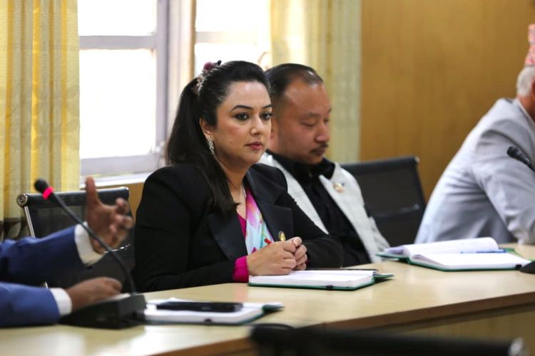 सांसदले उठाए कूटनीतिक राहदानीको माग, सभामुखले गरे छलफल