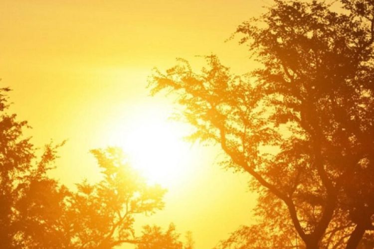 तराई मधेशका जिल्लामा बढेको गर्मीले जनजीवन प्रभावितः तातो लहरको चेतावनी