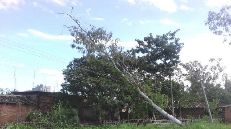 हावाहुरीबाट मधेस प्रदेश प्रभावितः सिरहामा पर्खाल भत्किँदा एक जनाको मृत्यु