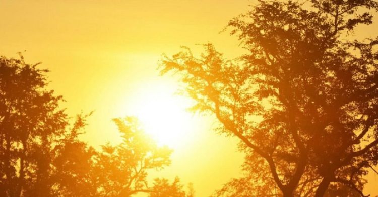 तराई मधेशका जिल्लामा बढेको गर्मीले जनजीवन प्रभावितः तातो लहरको चेतावनी