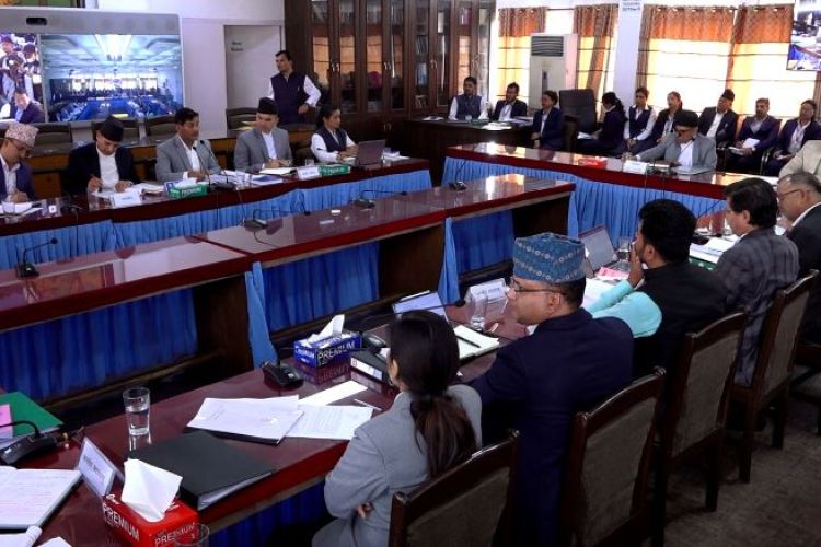 आज एकैदिन १० संसदीय समितिको बैठक बस्दै