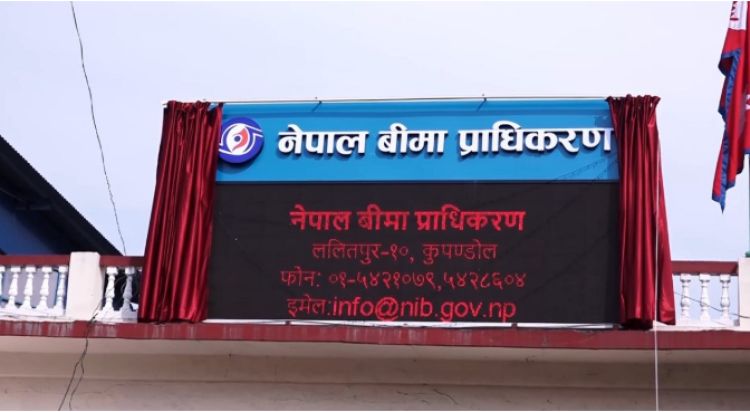 इञ्जिनियरिङमा स्नातकोत्तर गरेकालाई पनि बीमा प्राधिकरणको नेतृत्वमा बाटो खुल्यो