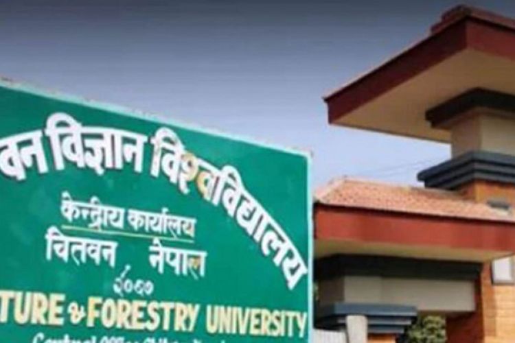 विश्वविद्यालयका पदाधिकारीद्वारा आङ्गिक क्याम्पस निरीक्षण