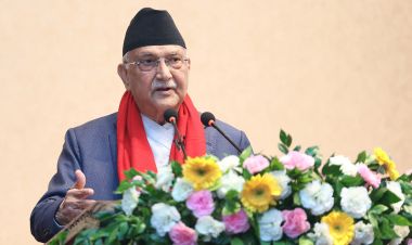 वीरेन्द्रनगर नगरपालिका-३ का वडाध्यक्षले छाडे एमाले