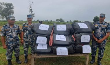 सिरहाको झाझपट्टीबाट १५२ किलो गाँजा बरामद